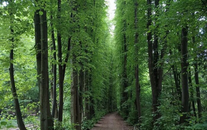 NW_Kasbachtal_03